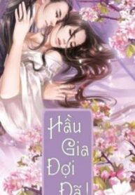 hầu gia đợi đã